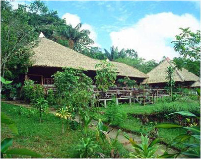 The Amazon Jungle Getaways