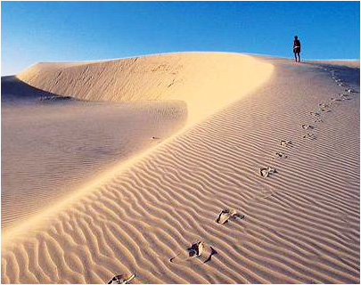 Jericoacoara Sand Dunes
